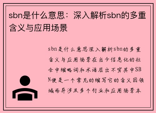 sbn是什么意思：深入解析sbn的多重含义与应用场景